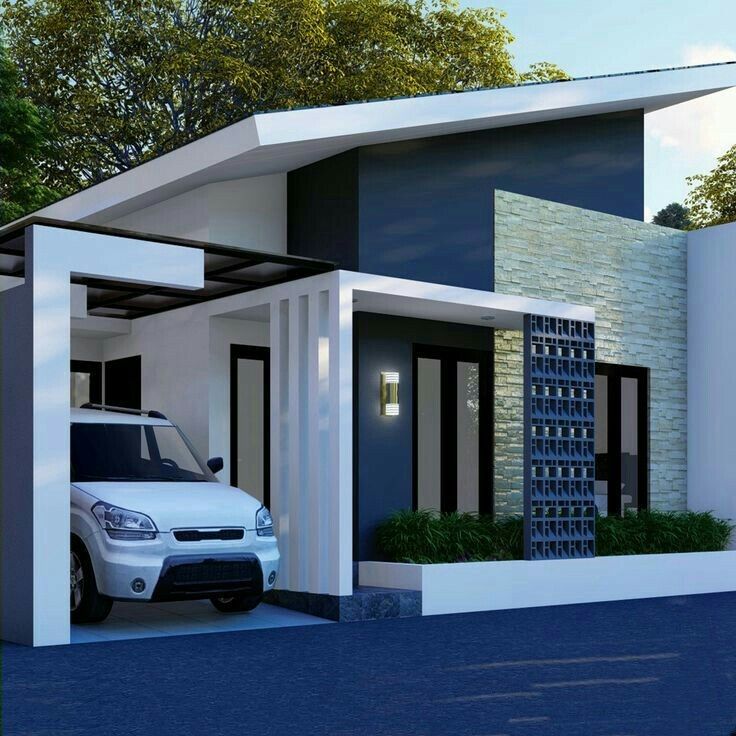 Contemporary Sloping Roof House